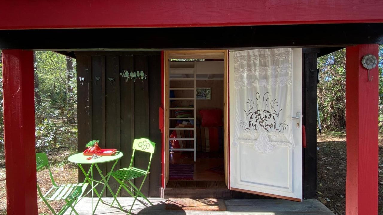 라카노오세앙 Le Petit Poulailler Au Beau Milieu Des Pins 빌라 외부 사진