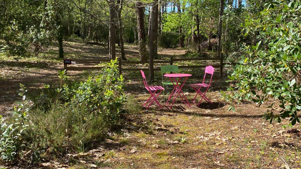 라카노오세앙 Le Petit Poulailler Au Beau Milieu Des Pins 빌라 외부 사진